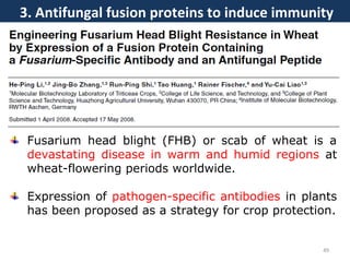 3. Antifungal fusion proteins to induce immunity
49
Fusarium head blight (FHB) or scab of wheat is a
devastating disease in warm and humid regions at
wheat-flowering periods worldwide.
Expression of pathogen-specific antibodies in plants
has been proposed as a strategy for crop protection.
 