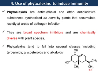  Phytoalexins are antimicrobial and often antioxidative
substances synthesized de novo by plants that accumulate
rapidly at areas of pathogen infection
 They are broad spectrum inhibitors and are chemically
diverse with plant species.
 Phytoalexins tend to fall into several classes including
terpenoids, glycosteroids and alkaloids
4. Use of phytoalexins to induce immunity
57
 