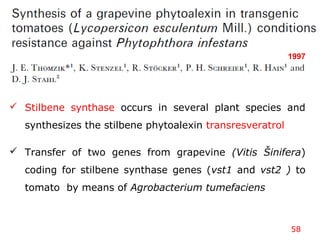 58
1997
 Stilbene synthase occurs in several plant species and
synthesizes the stilbene phytoalexin transresveratrol
 Transfer of two genes from grapevine (Vitis Šinifera)
coding for stilbene synthase genes (vst1 and vst2 ) to
tomato by means of Agrobacterium tumefaciens
 