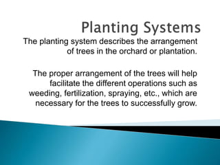 The planting system describes the arrangement
of trees in the orchard or plantation.
The proper arrangement of the trees will help
facilitate the different operations such as
weeding, fertilization, spraying, etc., which are
necessary for the trees to successfully grow.
 