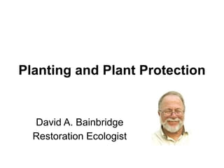 Planting and Plant Protection
David A. Bainbridge
Restoration Ecologist
 