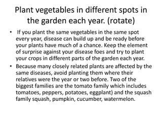 Plant vegetables in different spots in the garden each year. (rotate) If you plant the same vegetables in the same spot every year, disease can build up and be ready before your plants have much of a chance. Keep the element of surprise against your disease foes and try to plant your crops in different parts of the garden each year.Because many closely related plants are affected by the same diseases, avoid planting them where their relatives were the year or two before. Two of the biggest families are the tomato family which includes tomatoes, peppers, potatoes, eggplant) and the squash family squash, pumpkin, cucumber, watermelon.
