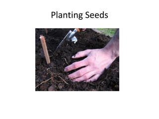 Planting Seeds