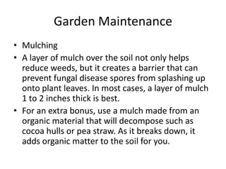 Garden MaintenanceMulching A layer of mulch over the soil not only helps reduce weeds, but it creates a barrier that can prevent fungal disease spores from splashing up onto plant leaves. In most cases, a layer of mulch 1 to 2 inches thick is best.For an extra bonus, use a mulch made from an organic material that will decompose such as cocoa hulls or pea straw. As it breaks down, it adds organic matter to the soil for you.