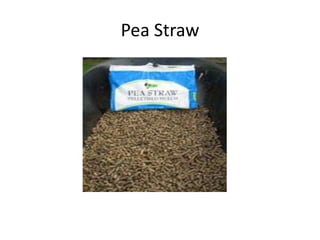 Pea Straw