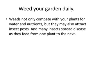 Weed your garden daily.Weeds not only compete with your plants for water and nutrients, but they may also attract insect pests. And many insects spread disease as they feed from one plant to the next.