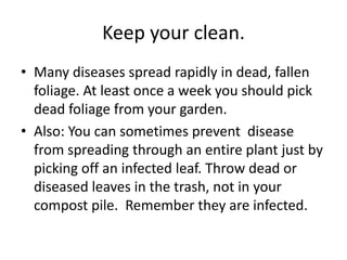 Keep your clean.Many diseases spread rapidly in dead, fallen foliage. At least once a week you should pick dead foliage from your garden.Also: You can sometimes prevent  disease from spreading through an entire plant just by picking off an infected leaf. Throw dead or diseased leaves in the trash, not in your compost pile.  Remember they are infected.