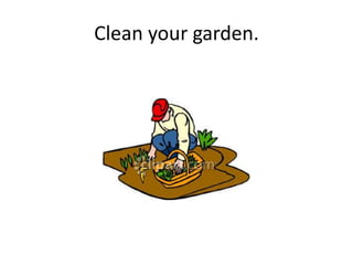 Clean your garden.