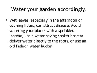 Water your garden accordingly.Wet leaves, especially in the afternoon or evening hours, can attract disease. Avoid watering your plants with a sprinkler. Instead, use a water-saving soaker hose to deliver water directly to the roots, or use an old fashion water bucket.