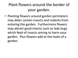 Plant flowers around the border of your garden.Planting flowers around garden perimeters  may deter certain insects and rodents from entering the garden.  Furthermore flowers may attract good insects such as lady bugs which feed of insects aiming to harm your garden.  Plus flowers add to the looks of a garden.