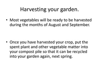 Harvesting your garden.Most vegetables will be ready to be harvested during the months of August and September.Once you have harvested your crop, put the spent plant and other vegetable matter into your compost pile so that it can be recycled into your garden again, next spring. 