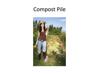 Compost Pile