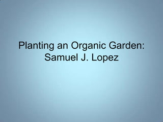 Planting an Organic Garden:
      Samuel J. Lopez
 