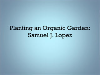 Planting an Organic Garden: Samuel J. Lopez 