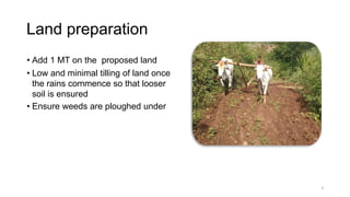 Land preparation
• Add 1 MT on the proposed land
• Low and minimal tilling of land once
the rains commence so that looser
soil is ensured
• Ensure weeds are ploughed under
 