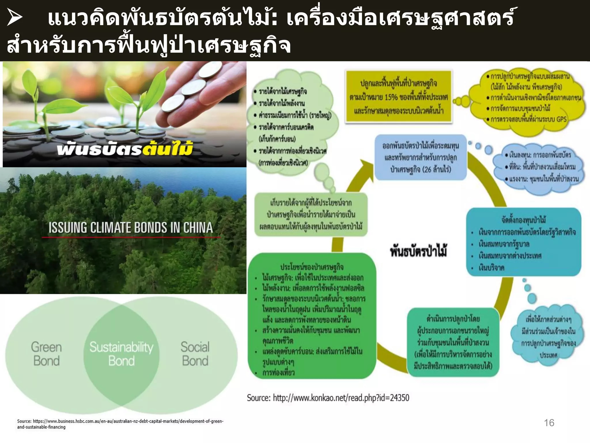 16
แนวคิดพันธบัตรต้นไม้: เครื่องมือเศรษฐศาสตร์
สาหรับการฟื้ นฟูป่ าเศรษฐกิจ
 