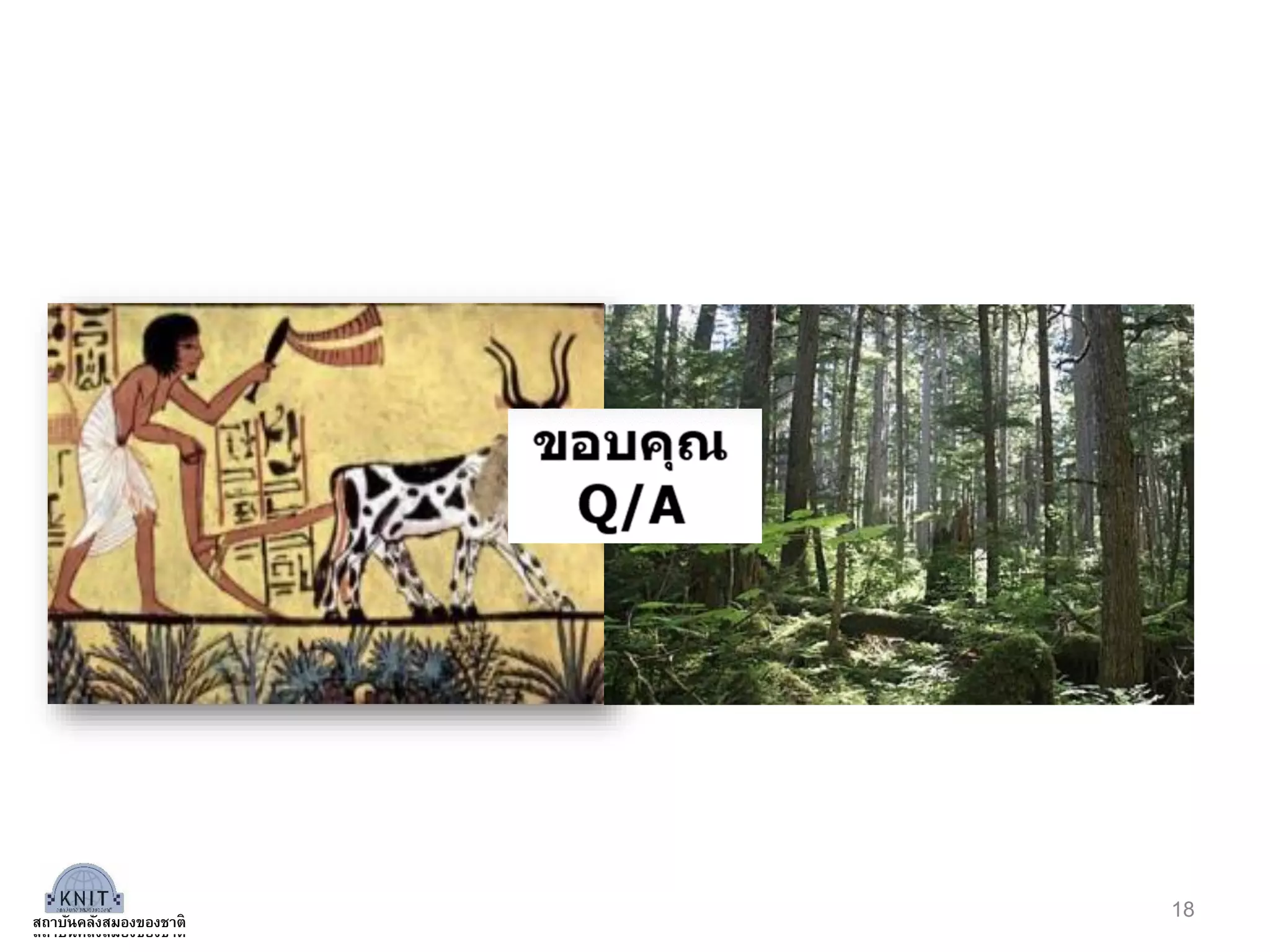 18
สถาบันคลังสมองของชาติสถาบันคลังสมองของชาติ
 