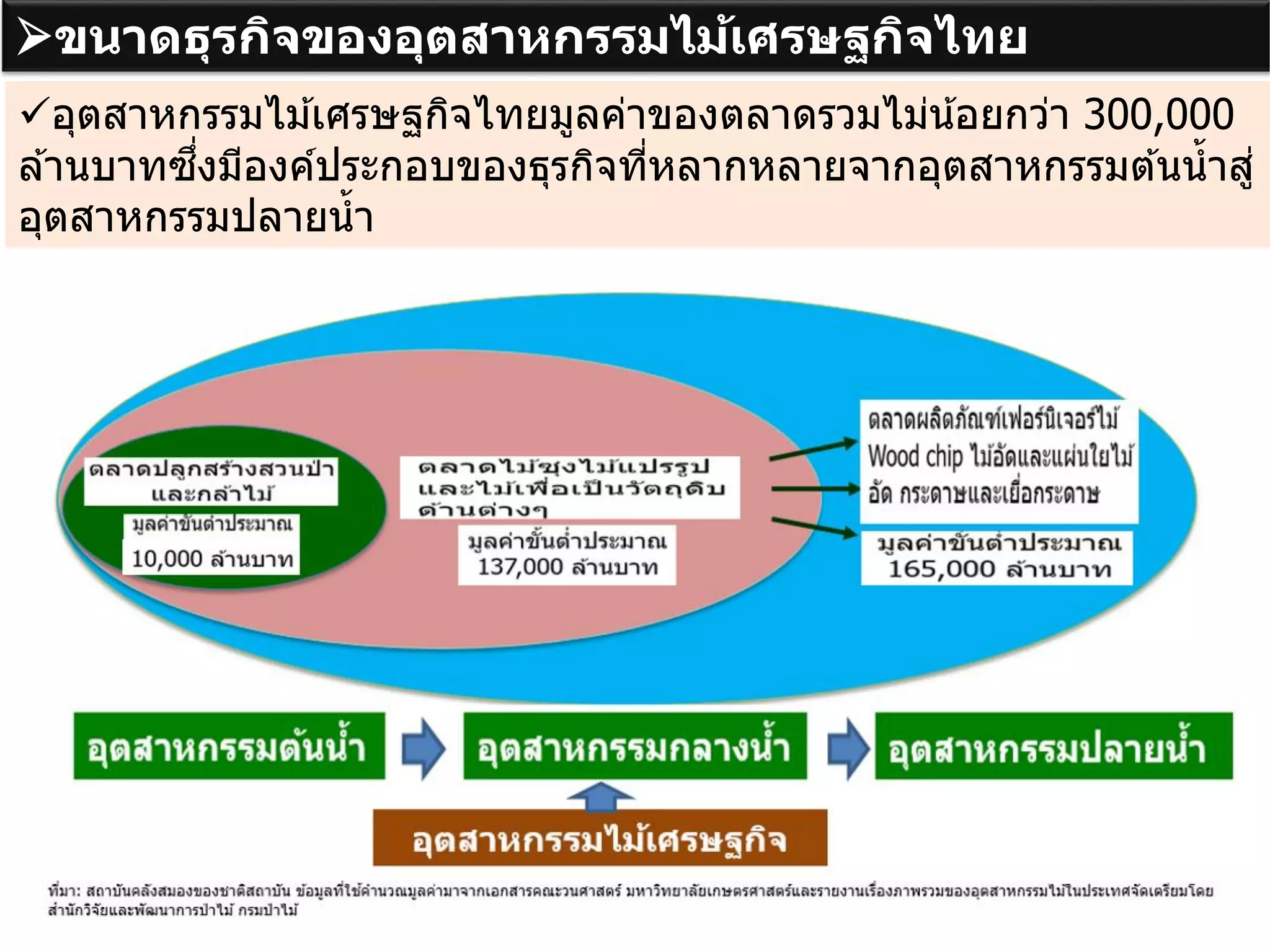 ขนาดธุรกิจของอุตสาหกรรมไม้เศรษฐกิจไทย
อุตสาหกรรมไม ้เศรษฐกิจไทยมูลค่าของตลาดรวมไม่น้อยกว่า 300,000
ล ้านบาทซึ่งมีองค์ประกอบของธุรกิจที่หลากหลายจากอุตสาหกรรมต ้นน้าสู่
อุตสาหกรรมปลายน้า
 