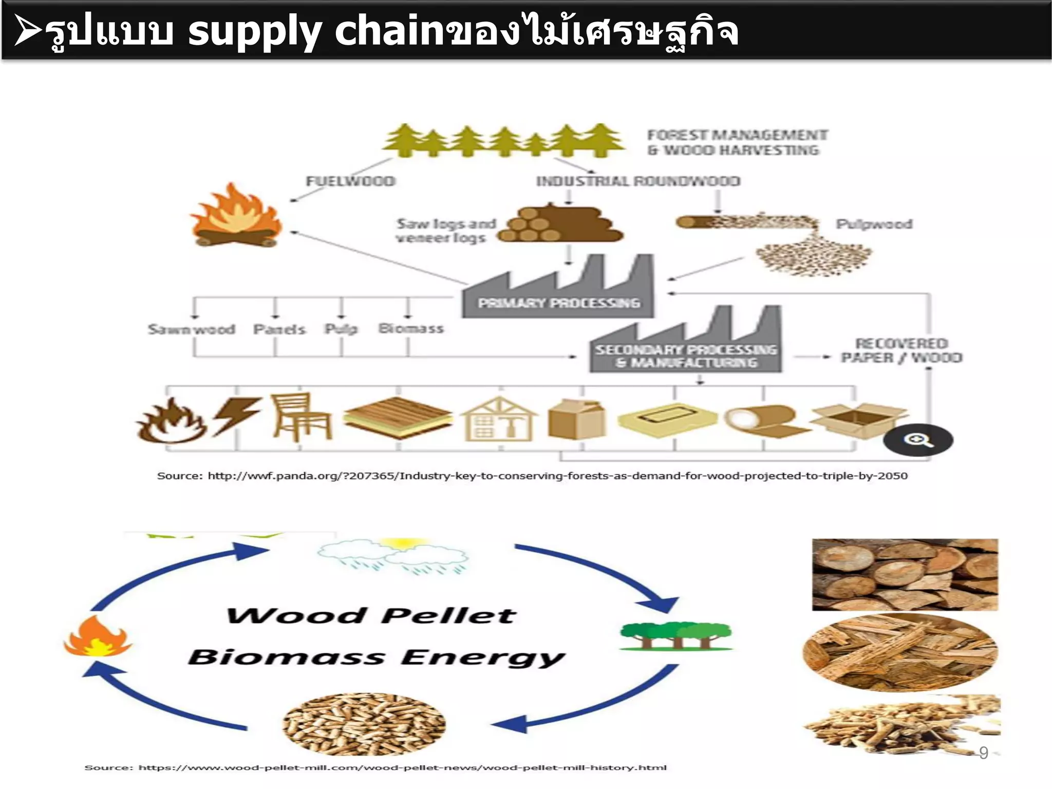 รูปแบบ supply chainของไม้เศรษฐกิจ
9
 