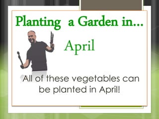 Planting a Garden in…
April
also see
Planting a Garden in March
All of these vegetables can be
planted in April!
 