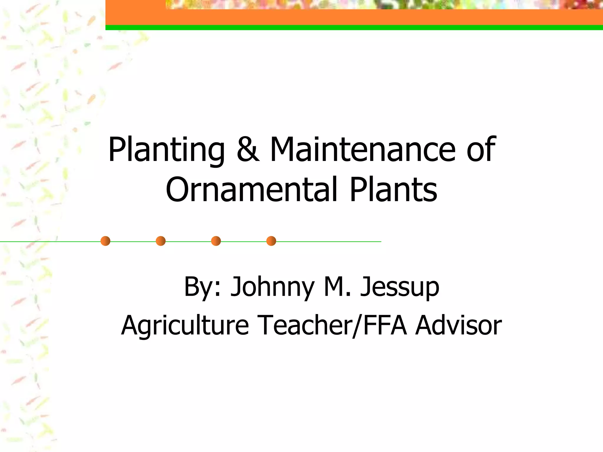 planting maintenance of ornamental plants .ppt