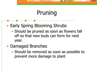 Pruning
• Early Spring Blooming Shrubs
• Should be pruned as soon as flowers fall
off so that new buds can form for next
y...