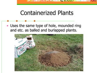 planting maintenance of ornamental plants .ppt