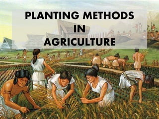 PLANTING METHODS
IN
AGRICULTURE
 