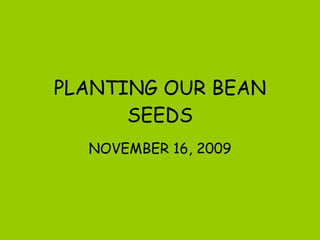 PLANTING OUR BEAN SEEDS NOVEMBER 16, 2009 