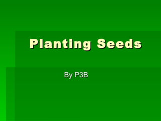 Planting Seeds By P3B  