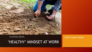 ‘HEALTHY’ MINDSET AT WORK
PLANTING SEEDS… Anish Gopal Vaidya
 