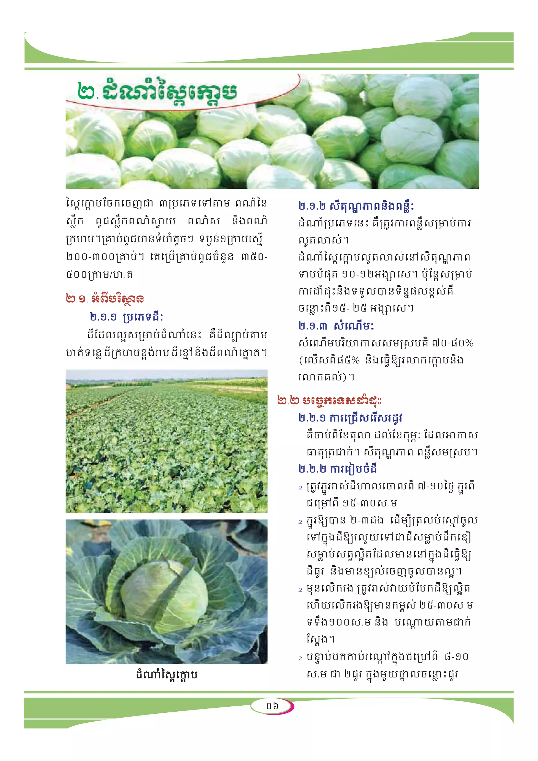 Planting technique for vegetables pdf agriculture industries