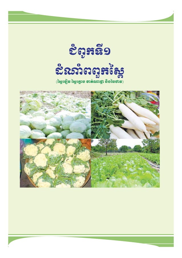 Planting technique for vegetables pdf agriculture industries