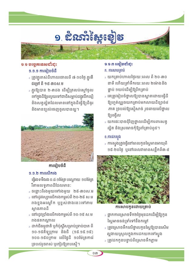 Planting technique for vegetables pdf agriculture industries