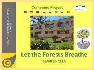 Comenius Project
 
