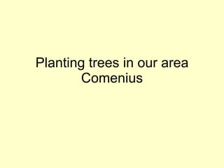 Planting trees in our area Comenius 