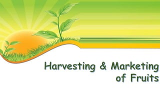 PLANTING part 2 HELE 6 | PPTX