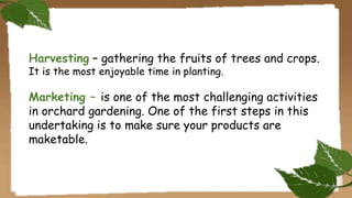 PLANTING part 2 HELE 6 | PPTX