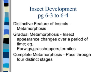 Plant insects 2010_lecture | PPT