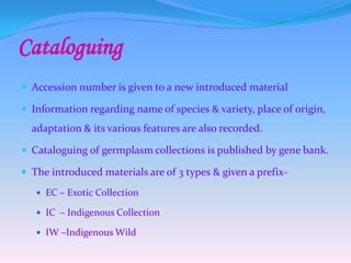 Cataloguing
 Accession number is given to a new introduced material
 Information regarding name of species & variety, place of origin,
adaptation & its various features are also recorded.
 Cataloguing of germplasm collections is published by gene bank.
 The introduced materials are of 3 types & given a prefix-
 EC – Exotic Collection
 IC – Indigenous Collection
 IW –Indigenous Wild
 