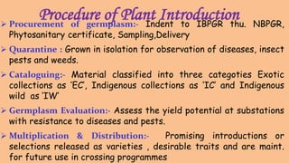 Procedure of Plant Introduction Procurement of germplasm:- Indent to IBPGR thu. NBPGR,
Phytosanitary certificate, Sampling,Delivery
 Quarantine : Grown in isolation for observation of diseases, insect
pests and weeds.
 Cataloguing:- Material classified into three categoties Exotic
collections as ‘EC’, Indigenous collections as ‘IC’ and Indigenous
wild as ‘IW’
 Germplasm Evaluation:- Assess the yield potential at substations
with resistance to diseases and pests.
 Multiplication & Distribution:- Promising introductions or
selections released as varieties , desirable traits and are maint.
for future use in crossing programmes
 