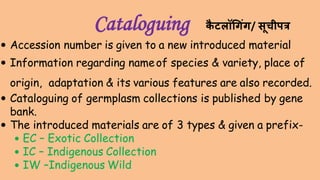Cataloguing
 Accession number is given to a new introduced material
 Information regarding nameof species & variety, place of
origin, adaptation & its various features are also recorded.
 Cataloguing of germplasm collections is published by gene
bank.
 The introduced materials are of 3 types & given a prefix-
 EC – Exotic Collection
 IC – Indigenous Collection
 IW –Indigenous Wild
कै टलॉधगंग/ सूचीपत्र
 