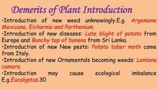 Demerits of Plant Introduction
•Introduction of new weed unknowingly.E.g. Argemone
Mexicana, Eichornia and Parthenium.
•Introduction of new diseases: Late blight of potato from
Europe and Bunchy top of banana from Sri Lanka.
•Introduction of new New pests: Potato tuber moth came
from Italy.
•Introduction of new Ornamentals becoming weeds: Lantana
camara.
•Introduction may cause ecological imbalance
E.g.Eucalyptus.30
 