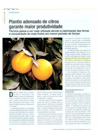 Plantio adensado de citros