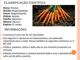 CLASSIFICAÇÃO CIENTÍFICA 
Reino: Plantae 
Divisão: Magnoliophyta 
Classe: Magnoliopsida 
Ordem: Apiales 
Família: Apiaceae 
Gênero: Daucus 
Espécie: D. carota 
INFORMAÇÕES 
 A cenoura é uma raiz de cor alaranjada. 
 Este legume é riquíssimo em betacaroteno, um elemento 
importante para a visão. Possui também as seguintes vitaminas: A, C, 
B2 e B3. 
 Fósforo, potássio, cálcio e sódio são os sais minerais presentes na 
cenoura. 
 Embora encontramos a cenoura durante todo o ano, o período de 
safra vai de julho a janeiro. 
2 
 