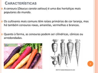 CARACTERÍSTICAS 
 A cenoura (Daucus carota sativus) é uma das hortaliças mais 
populares do mundo. 
 Os cultivares mais comuns têm raízes primárias de cor laranja, mas 
há também cenouras roxas, amarelas, vermelhas e brancas. 
 Quanto à forma, as cenouras podem ser cilíndricas, cônicas ou 
arredondadas. 
3 
 