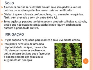 SOLO 
 A cenoura precisa ser cultivada em um solo sem pedras e outros 
detritos ou as raízes poderão crescer tortas e ramificadas. 
 O ideal é que o solo seja profundo, leve, rico em matéria orgânica, 
fértil, bem drenado e com pH entre 6,0 e 7,5. 
 Solos argilosos pesados também podem produzir colheitas razoáveis, 
desde que não estejam compactados e não fiquem encharcados 
durante o período de cultivo. 
IRRIGAÇÃO 
 Irrigar quando necessário para manter o solo levemente úmido. 
 Esta planta necessita de uma boa 
disponibilidade de água, mas o solo 
não deve permanecer encharcado, 
pois o excesso de água pode favorecer 
o apodrecimento das raízes ou o 
surgimento de doenças. 5 
 