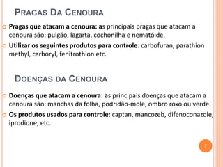  Pragas que atacam a cenoura: as principais pragas que atacam a 
cenoura são: pulgão, lagarta, cochonilha e nematóide. 
 Utilizar os seguintes produtos para controle: carbofuran, parathion 
methyl, carboryl, fenitrothion etc. 
DOENÇAS DA CENOURA 
 Doenças que atacam a cenoura: as principais doenças que atacam a 
cenoura são: manchas da folha, podridão-mole, ombro roxo ou verde. 
 Os produtos usados para controle: captan, mancozeb, difenoconazole, 
iprodione, etc. 
7 
PRAGAS DA CENOURA 
 