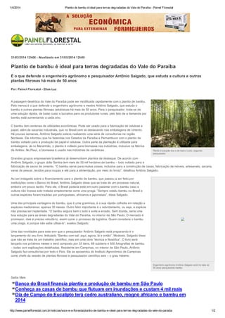 1/4/2014 Plantio de bambu é ideal para terras degradadas do Vale do Paraíba - Painel Florestal
http://www.painelflorestal.com.br/noticias/voce-e-a-floresta/plantio-de-bambu-e-ideal-para-terras-degradadas-do-vale-do-paraiba 1/2
31/03/2014 12h00 - Atualizado em 31/03/2014 12h00
Plantio de bambu é ideal para terras degradadas do Vale do Paraíba
É o que defende o engenheiro agrônomo e pesquisador Antônio Salgado, que estuda a cultura e outras
plantas fibrosas há mais de 50 anos
Por: Painel Florestal - Elias Luz
A paisagem desértica do Vale do Paraíba pode ser modificada rapidamente com o plantio de bambu.
Pelo menos é o que defende o engenheiro agrônomo e mestre Antônio Salgado, que estuda o
bambu e outras plantas fibrosas celulósicas há mais de 50 anos. Para o pesquisador, trata-se de
uma solução rápida, de baixo custo e lucrativa para os produtores rurais, pelo fato de a demanda por
bambu está aumentando a cada ano.
O bambu tem centenas de utilidades econômicas. Pode ser usado para a fabricação de celulose e
papel, além de sacarias industriais, que no Brasil vem se destacando nas embalagens de cimento.
Há poucas semanas, Antônio Salgado esteve realizando uma série de consultorias na região
Nordeste. Ele informou que há fazendas nos Estados da Paraíba e Pernambuco com o plantio de
bambu voltado para a produção de papel e celulose. Outra parte da plantação é utilizada para
embalagens. Já no Maranhão, o plantio é voltado para biomassa nas indústrias, inclusive na fábrica
da Ambev. No Piauí, a biomassa é usada nas indústrias de cerâmicas.
Grandes grupos empresariais brasileiros já desenvolvem plantios de destaque. De acordo com
Antônio Salgado, o grupo João Santos tem mais de 35 mil hectares de bambu – tudo voltado para a
fabricação de sacos de cimento. “O bambu serve para muitas coisas, inclusive para a construção de casas, fabricação de móveis, artesanato, sacaria,
varas de pescar, tecidos para roupas e até para a alimentação, por meio do broto”, detalhou Antônio Salgado.
Ao ser indagado sobre o financiamento para o plantio de bambu, que passou a ser feito por
instituições como o Banco do Brasil, Antônio Salgado disse que se trata de um processo natural,
embora um pouco tardio. Para ele, o Brasil poderia está em outro patamar com o bambu caso a
cultura não tivesse sido tratada simplesmente como uma praga. “Sempre existiu bambu no Brasil e
outras espécies foram trazidas por portugueses, africanos e japoneses”, disse Salgado.
Uma das principais vantagens do bambu, que é uma gramínea, é a sua rápida colheita em relação a
espécies madeireiras: apenas 30 meses. Outro fator importante é o rebrotamento, ou seja, a espécie
não precisa ser replantada. “O bambu segura bem o solo e evita a erosão. Sem dúvida, seria uma
boa solução para as áreas degradadas do Vale do Paraíba, no interior de São Paulo. O mercado é
promissor, mas é preciso estudá-lo, assim como o processo de logística. Quem considera o bambu
uma praga, é porque não sabe utilizá-lo”, avaliou Salgado.
Uma das novidades para este ano que o pesquisador Antônio Salgado está preparando é o
lançamento do seu livro. Intitulado “Bambu com sal: aqui, agora, lá e então”. Modesto, Salgado disse
que não se trata de um trabalho científico, mas sim uma obra “técnica e filosófica”. O livro será
lançado nos próximos meses e será composto por 33 itens, 68 subitens e 500 fotografias de bambu
– todas com explicações detalhadas. Residente em Campinas, no interior de São Paulo, Antônio
Salgado faz consultorias por todo o País. Ele se aposentou do Instituto Agronômico de Campinas
como chefe da sessão de plantas fibrosas e pesquisador científico seis – o grau máximo.
Plantio é solução boa e de baixo custo, segundo
pesquisador
Engenheiro agrônomo Antônio Salgado está há mais de
50 anos pesquisando bambu
Banco do Brasil financia plantio e produção de bambu em São Paulo
Conheça as casas de bambu que flutuam em inundações e custam 4 mil reais
Dia de Campo do Eucalipto terá cedro australiano, mogno africano e bambu em
2014
Saiba Mais
 