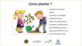 Como plantar ?
•Escolher o Local para
plantar;
•Conhecer as condições
climáticas do local;
•Abrir uma cova de 60 cm
de largura, comprimento e
profundidade, para que a
água possa infiltrar e a raiz
da árvore possa crescer
 